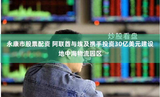 永康市股票配资 阿联酋与埃及携手投资30亿美元建设地中海物流园区