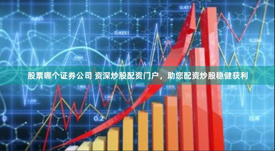 股票哪个证券公司 资深炒股配资门户，助您配资炒股稳健获利