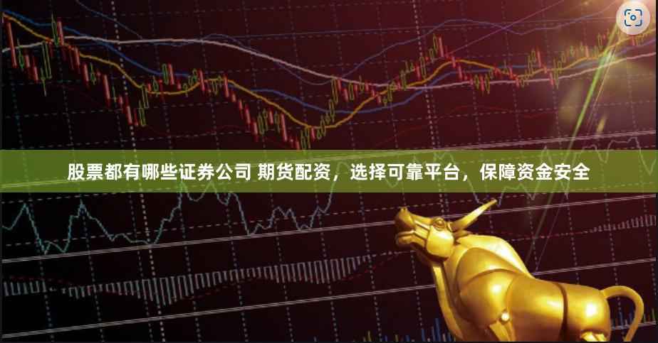 股票都有哪些证券公司 期货配资，选择可靠平台，保障资金安全