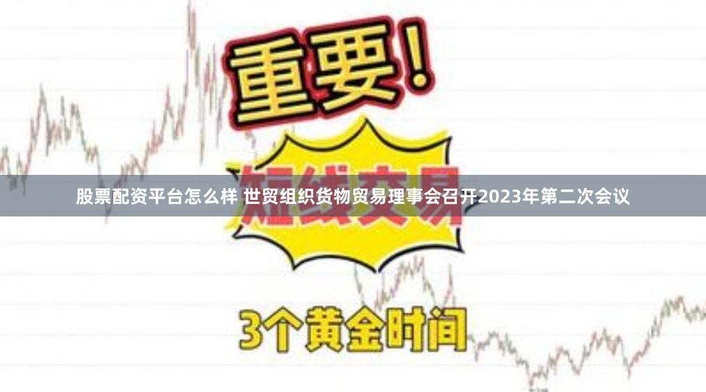 股票配资平台怎么样 世贸组织货物贸易理事会召开2023年第二次会议