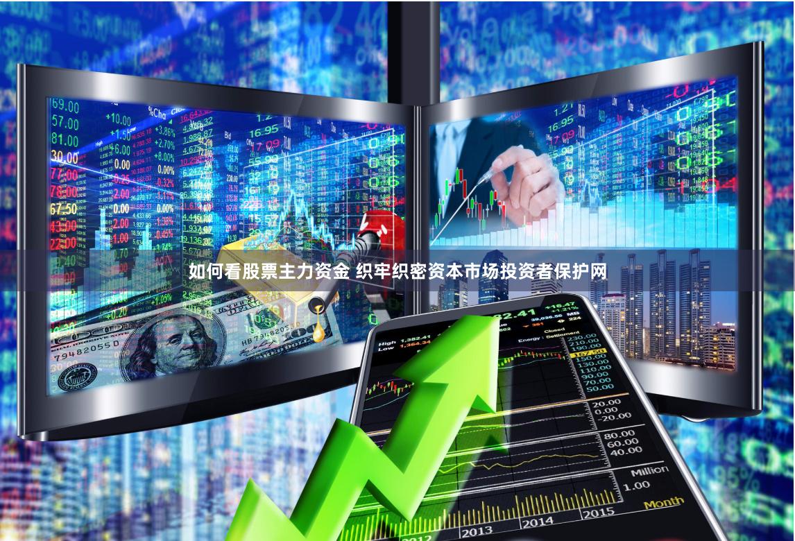 如何看股票主力资金 织牢织密资本市场投资者保护网