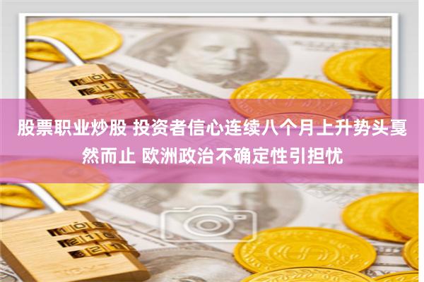 股票职业炒股 投资者信心连续八个月上升势头戛然而止 欧洲政治不确定性引担忧