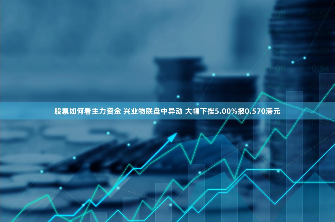 股票如何看主力资金 兴业物联盘中异动 大幅下挫5.00%报0.570港元
